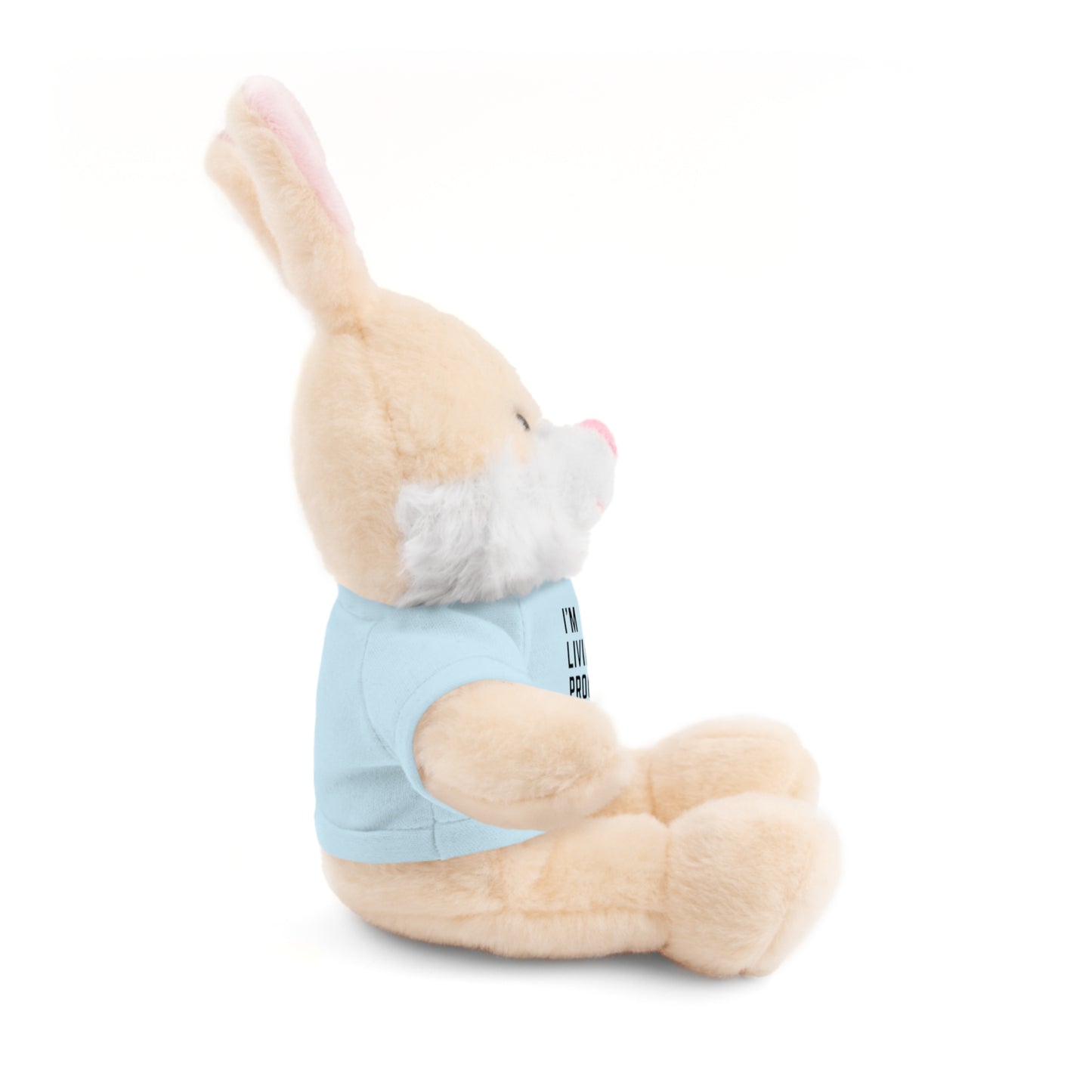 I am living proof...God heals- Stuffed Animals