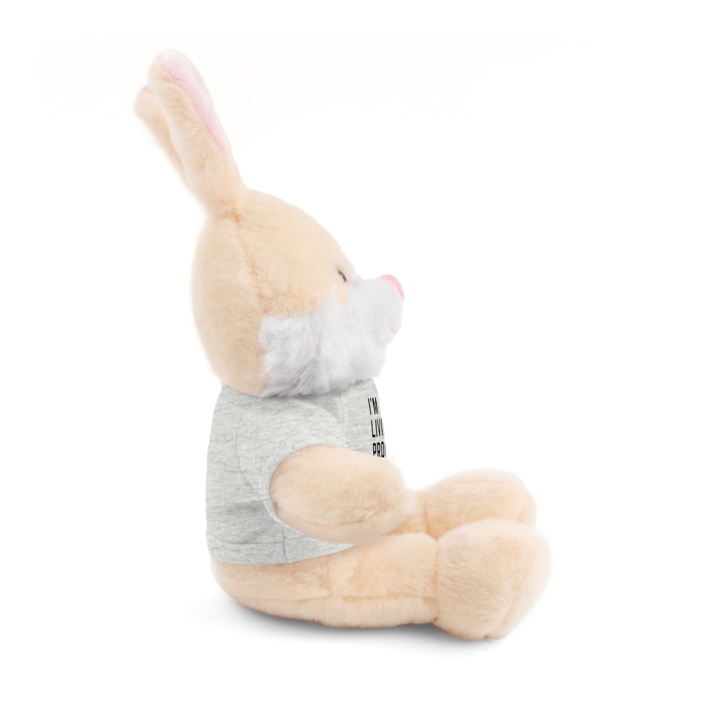 I am living proof...God heals- Stuffed Animals