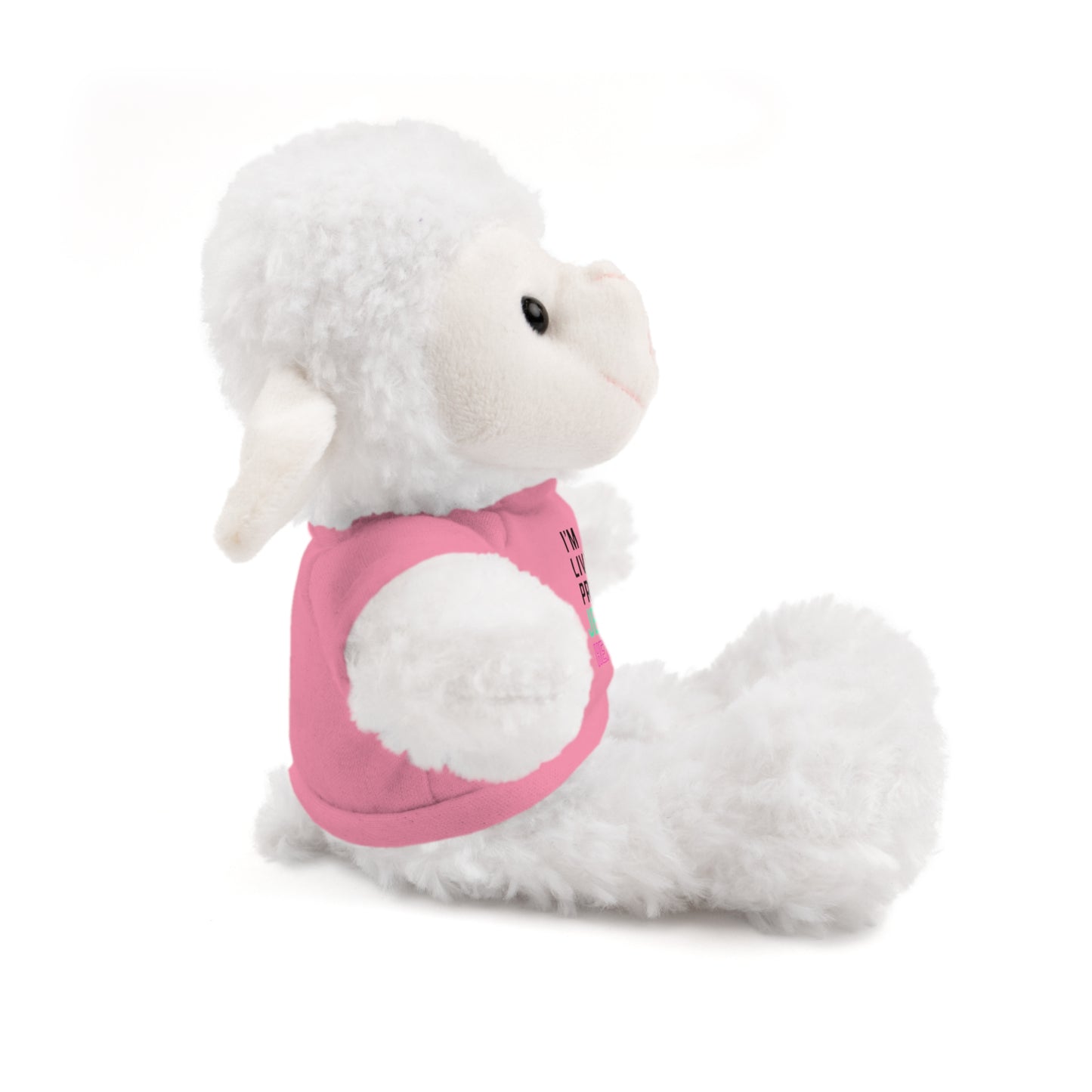 I am living proof...God heals- Stuffed Animals
