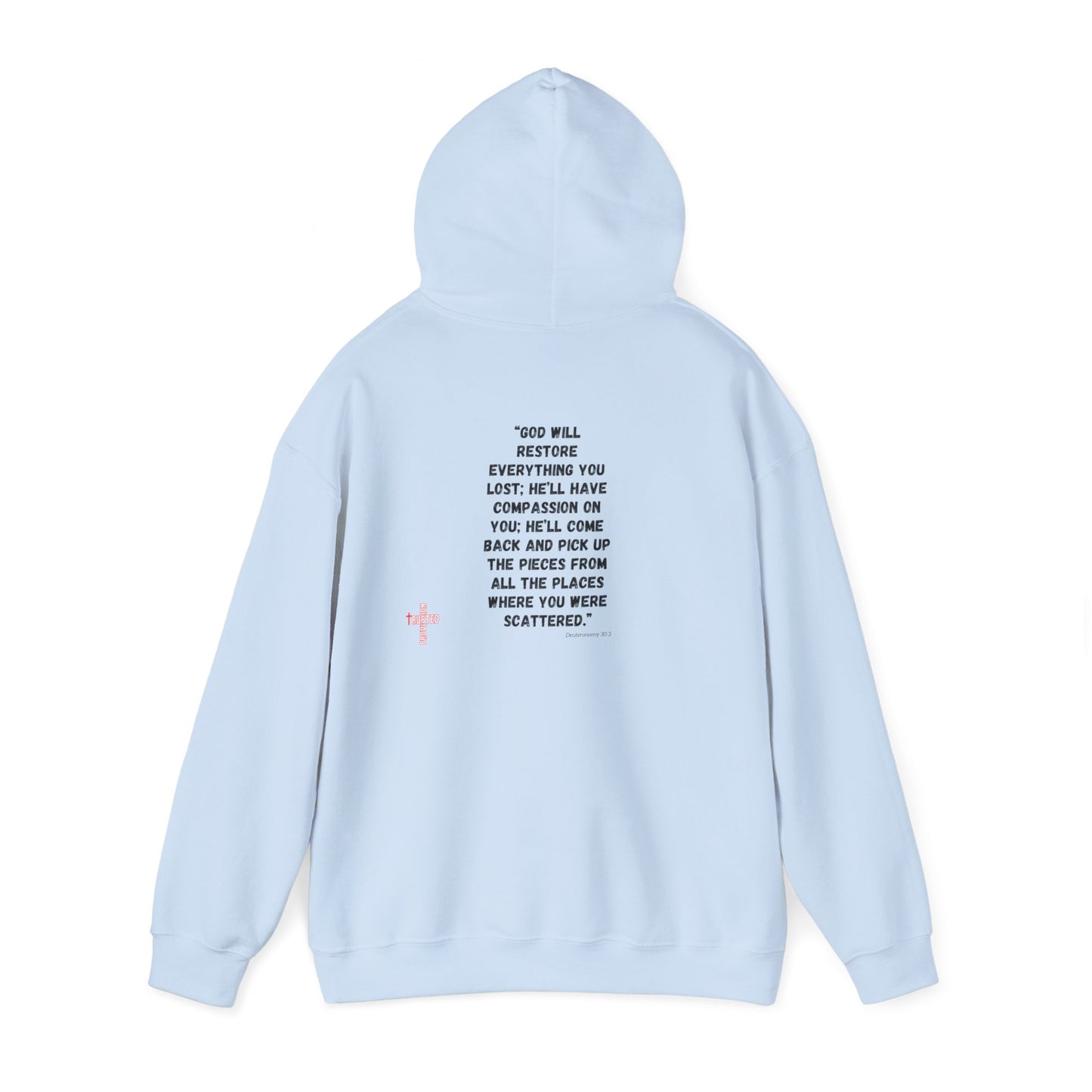 Restored- Unisex Hoodie