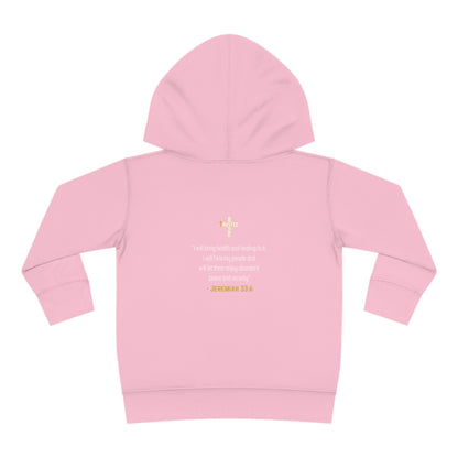 I'm living proof...Jesus Heals- Toddler Pullover Hoodie (gold letters)