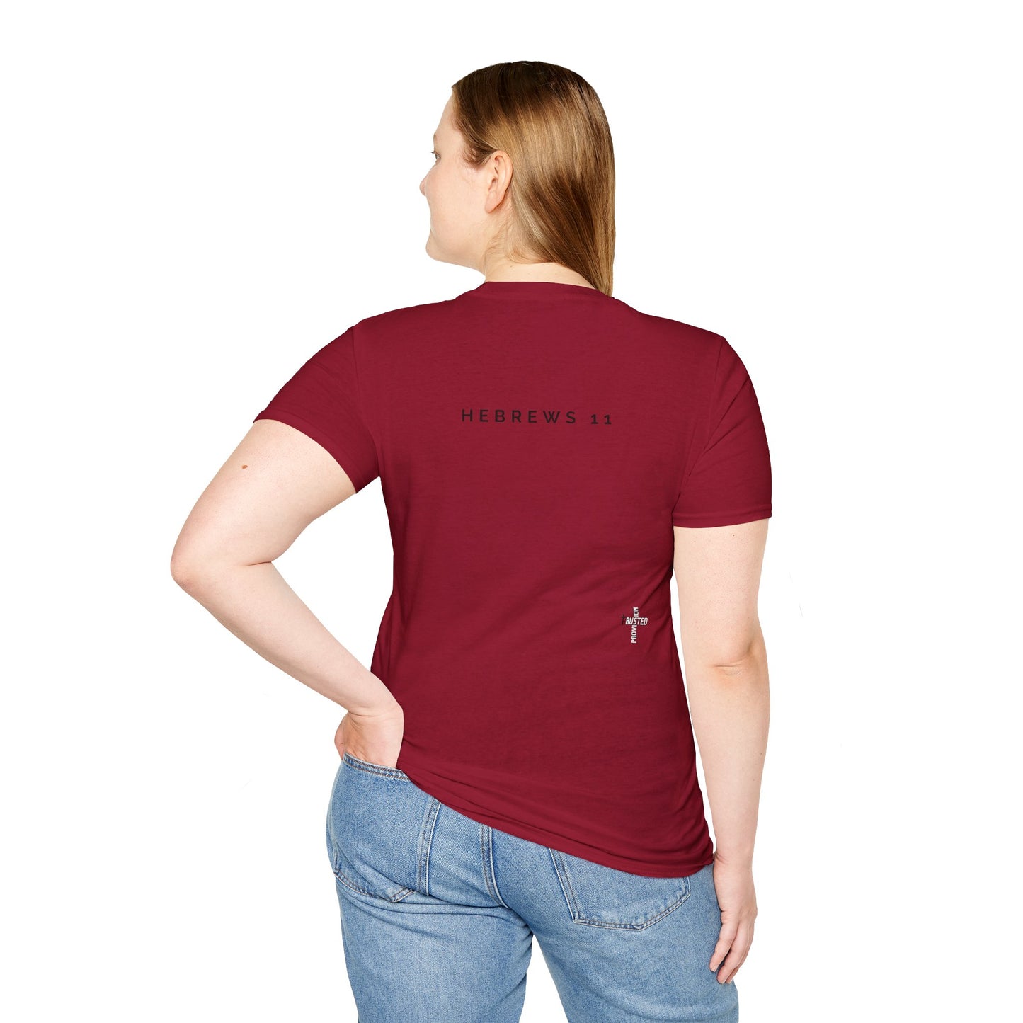 FAITH/HEBREWS 11- Unisex Softstyle T-Shirt (black & white)