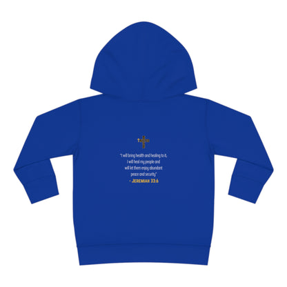 I'm living proof...Jesus Heals- Toddler Pullover Hoodie (gold letters)
