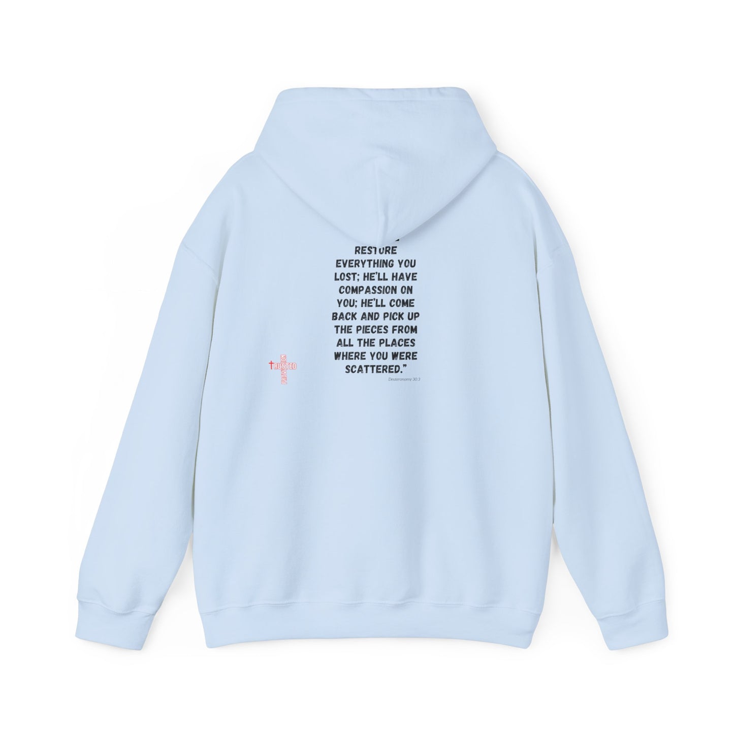 Restored- Unisex Hoodie