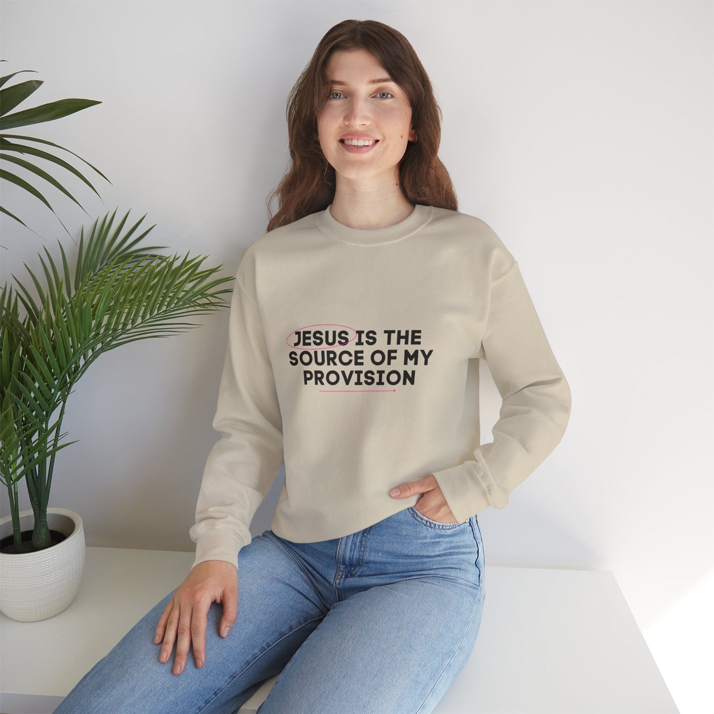 Christian Sweatshirt Jesus is the Source of my Provision Unisex Crewneck