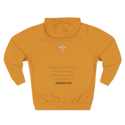 I'm living proof...Jesus Heals- Unisex Pullover Hoodie (Gold Edition)