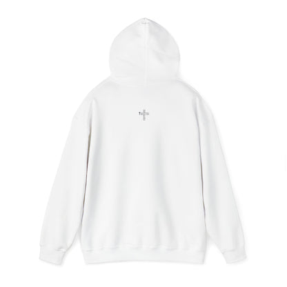 He will provide- Unisex Hoodie