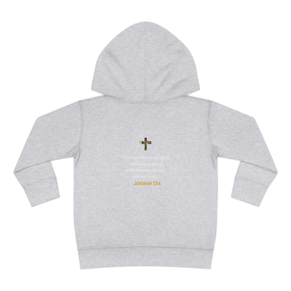 I'm living proof...Jesus Heals- Toddler Pullover Hoodie (gold letters)