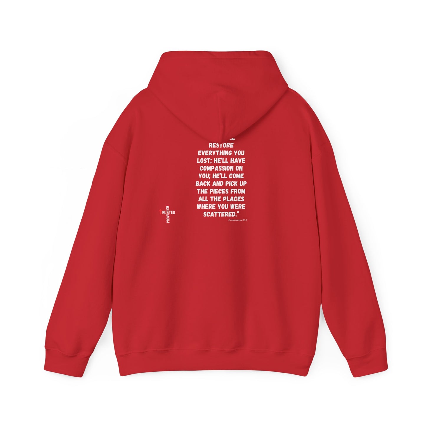 Restored- Unisex Hoodie