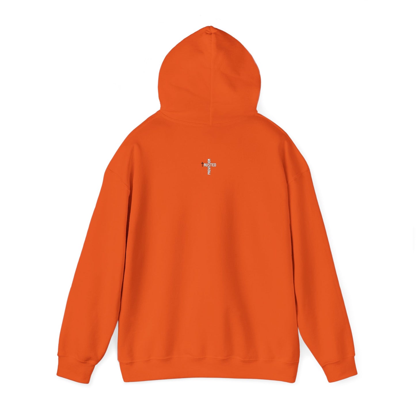 He will provide- Unisex Hoodie