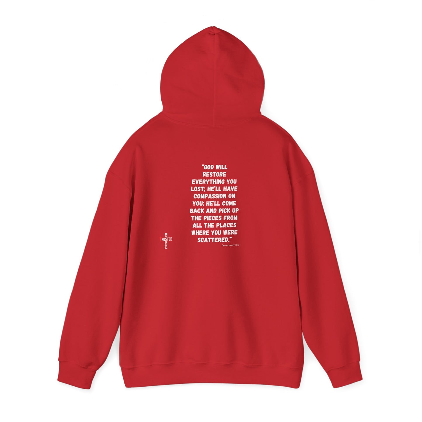 Restored- Unisex Hoodie