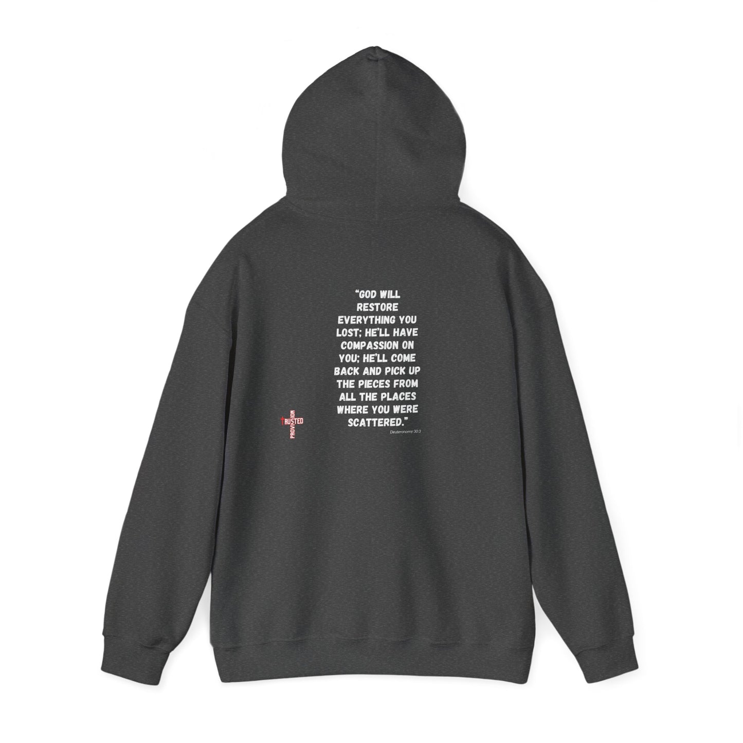 Restored- Unisex Hoodie