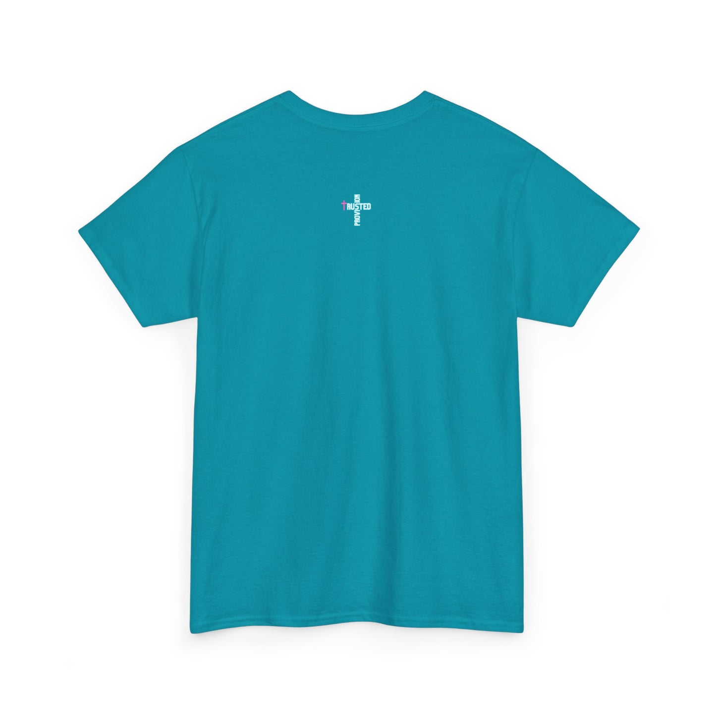 Jesus is the Source of My Provision- Unisex T-shirt