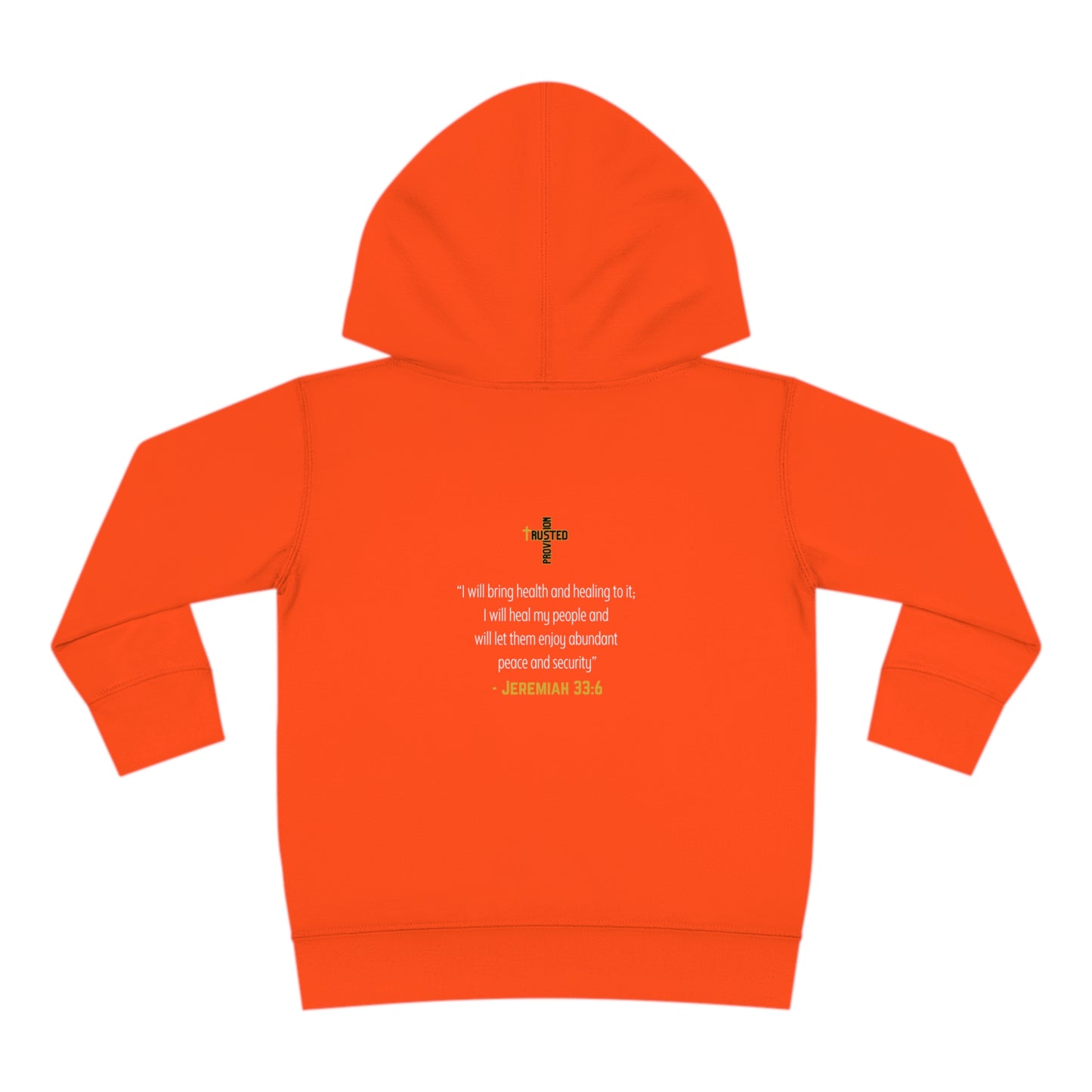 I'm living proof...Jesus Heals- Toddler Pullover Hoodie (gold letters)